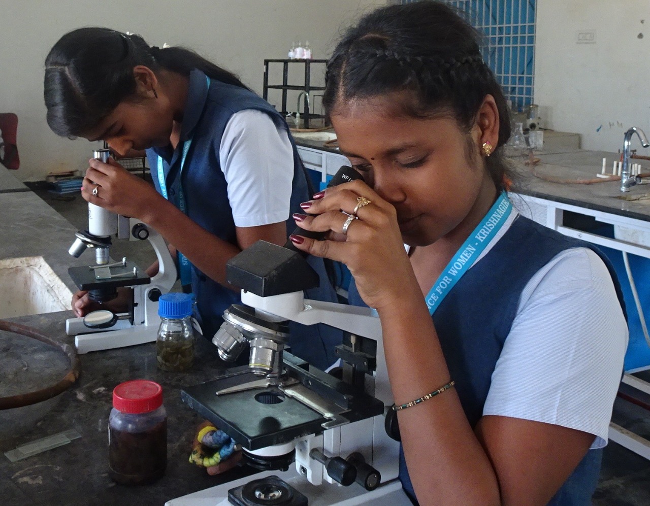 lab
